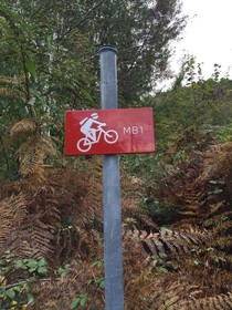 Il Talento Nella Quiete