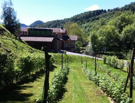 Il Talento Nella Quiete