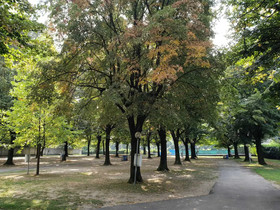 International Camping No Stress