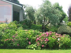 B&B Villa Adriano