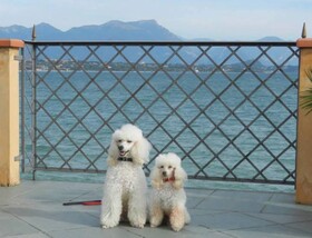 Desenzano Boutique Resort