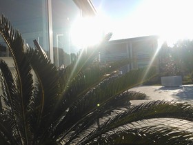 Hotel Lido International