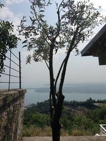 Albergo Ristorante San Michele