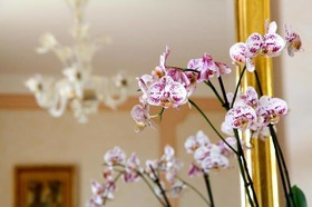 Hotel Villa del Sogno