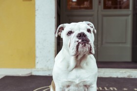 Boutique Hotel Villa Sostaga