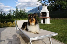 Residence Villa Paradiso