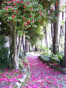 Villa La Mirabella
