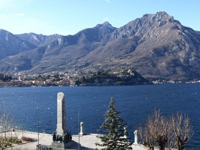 Alberi