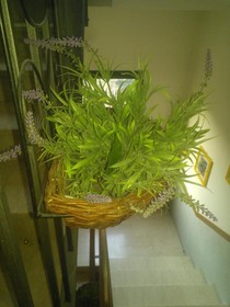 Hotel Riva del Sole - Adults Only