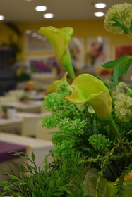 Hotel Riva del Sole - Adults Only