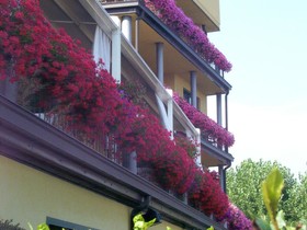 Hotel Riva del Sole - Adults Only