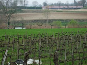 Agriturismo Nuvolino