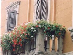 Al Caminetto