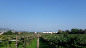 Agriturismo Camparella