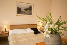 Hotel Buena Onda