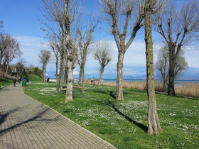 Rooms and Breakfast La Forgia