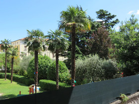 Bella Villa Apartments