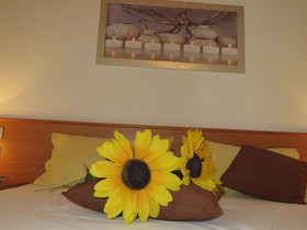 Bella Villa Apartments