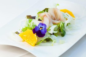 Hotel Garda - TonelliHotels