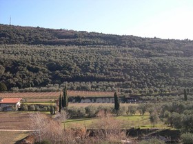 Primavera ApartmentSuites