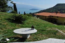 Croce Amore