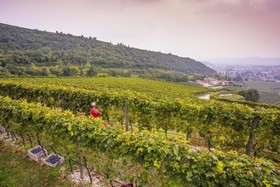 B&B Boutique Osteria Della Pieve