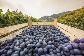 B&B Boutique Osteria Della Pieve