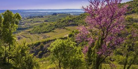 B&B Boutique Osteria Della Pieve