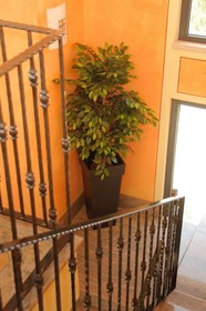 Villa Rosa
