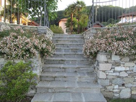 Brisino