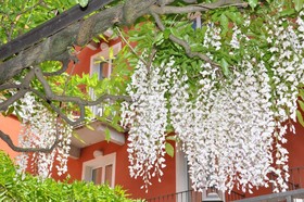 Cavour 30TRE - Hotel Moderno