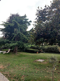 Villa Cuore