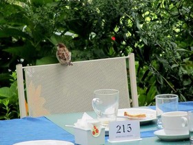 Hotel Villa Tiziana