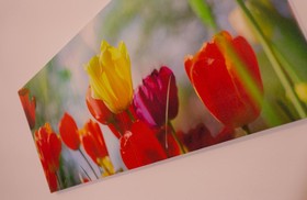 Hotel Residenza Sirenella