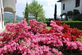 B&B Villa Natta
