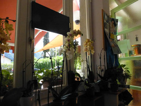 Caffe Del Viaggiatore