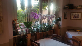 Caffe Del Viaggiatore