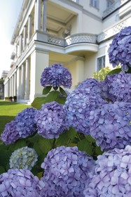 Grand Hotel Majestic