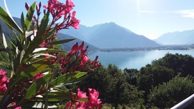 Il Giardino di Lory