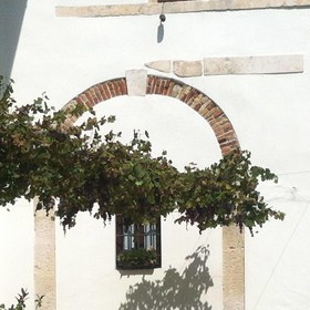 Relais Villa Gozzi B&B