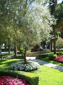 Villa Ducale