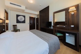 Hotel Delfino Venezia Mestre