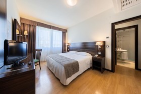 Hotel Delfino Venezia Mestre