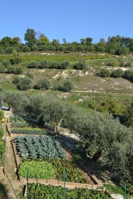 Azienda Agrituristica “I Tamasotti”