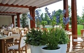 Terme di Relilax Boutique Hotel & Spa