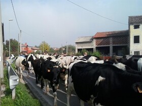 La Prateria Agriturismo