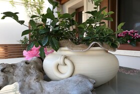 Tenuta Della Duchessa