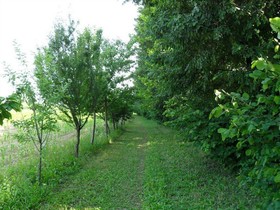 Dartora Agriturismo