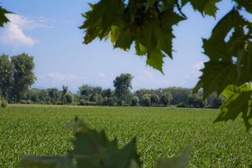 Agriturismo La Madoneta