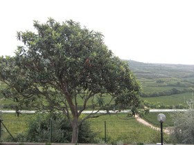 Albergo Grobberio